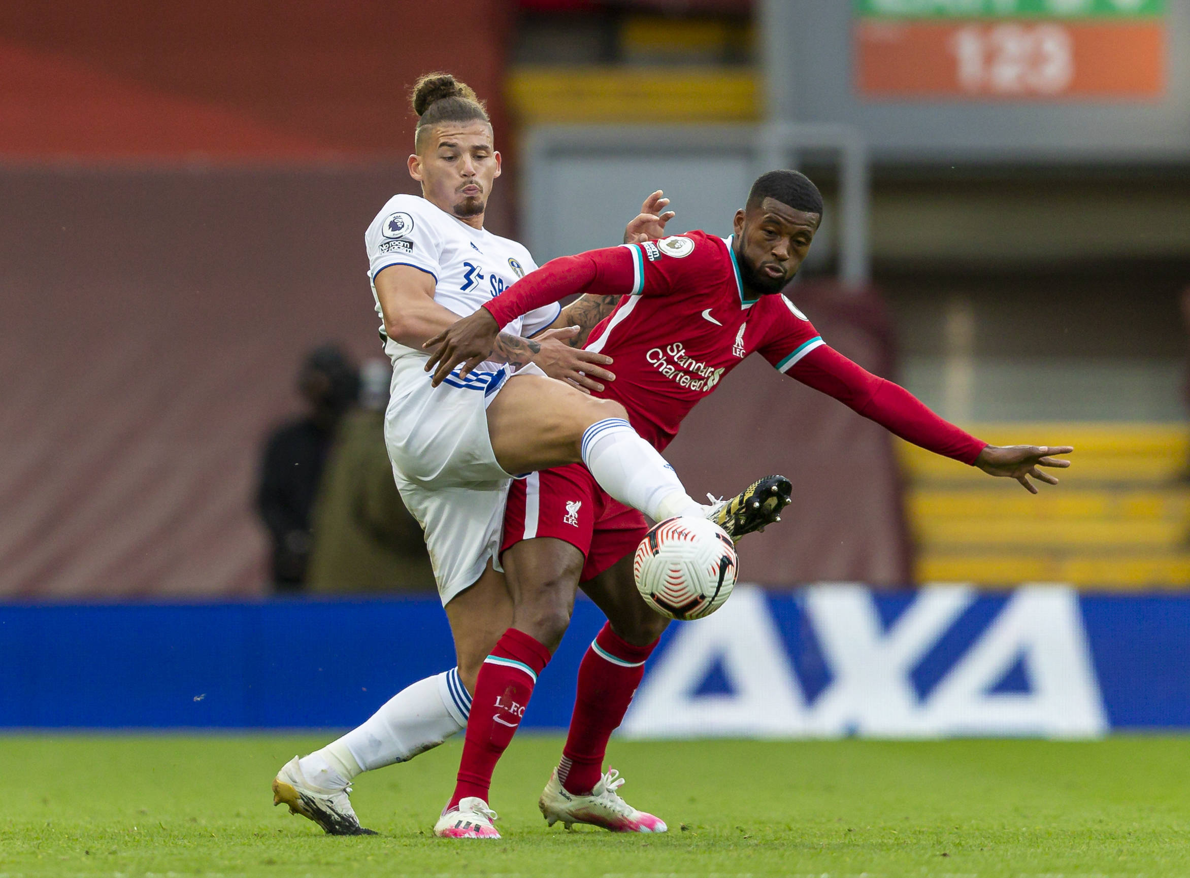 性和包容性 性和包容性